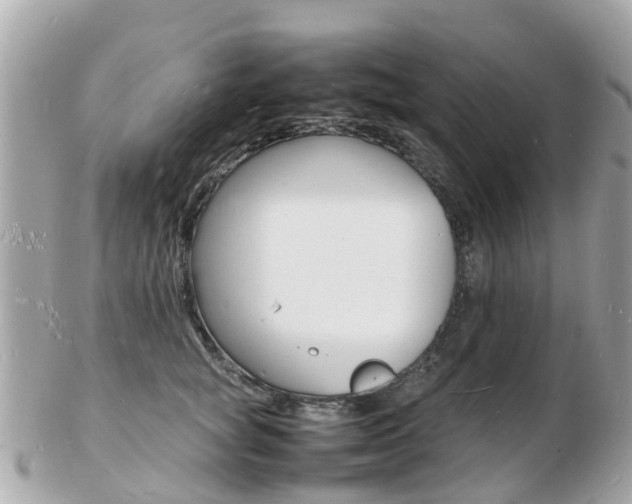 X0000103290757200808291108