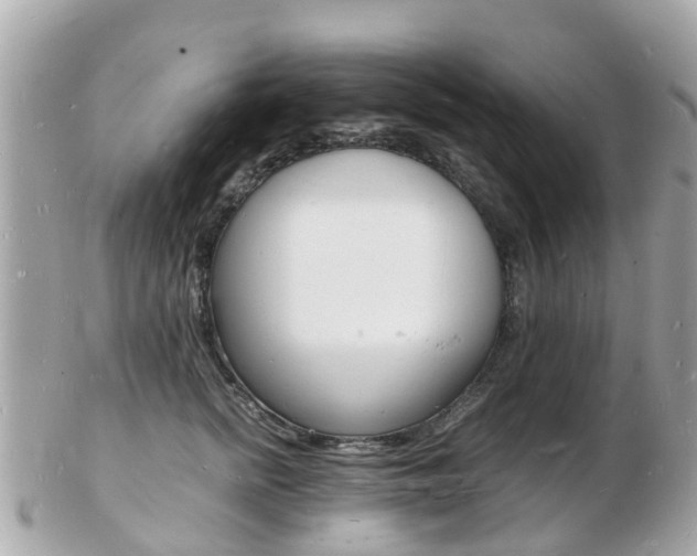 X0000103290758200808291108