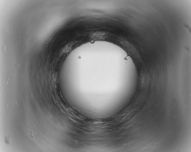 X0000103290759200808291108