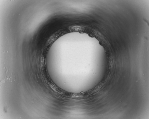 X0000103290760200808291108
