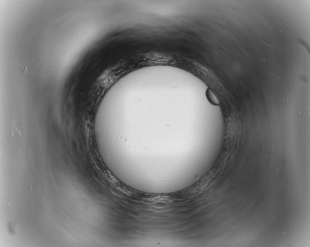 X0000103290761200808291108