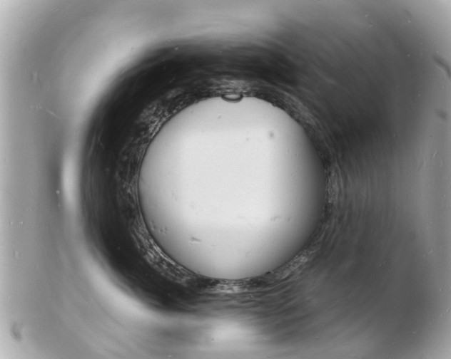 X0000103290764200808291108