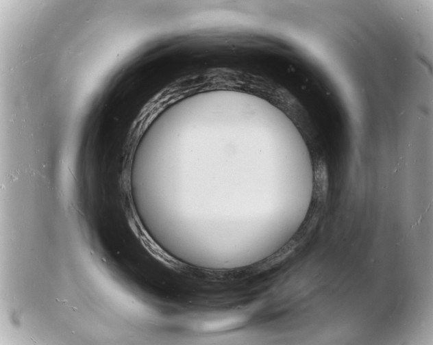 X0000103290765200808291108