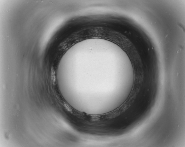 X0000103290766200808291108