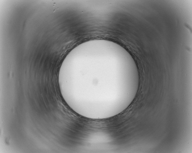 X0000103290768200808291108
