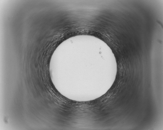 X0000103290769200808291107