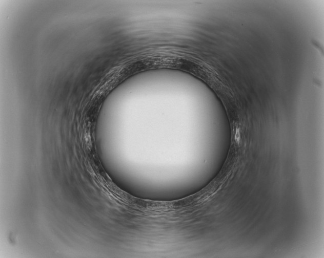 X0000103290771200808291107