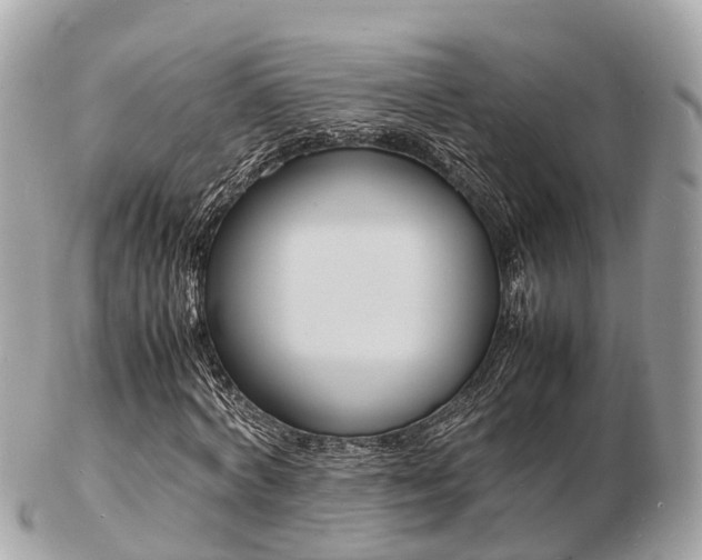 X0000103290772200808291107