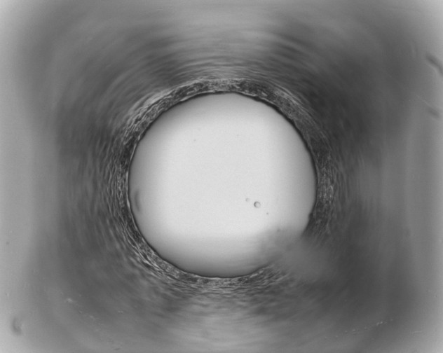 X0000103290773200808291107