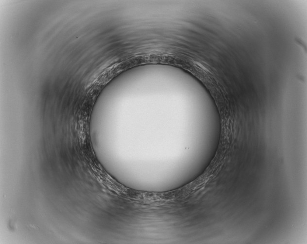 X0000103290774200808291107