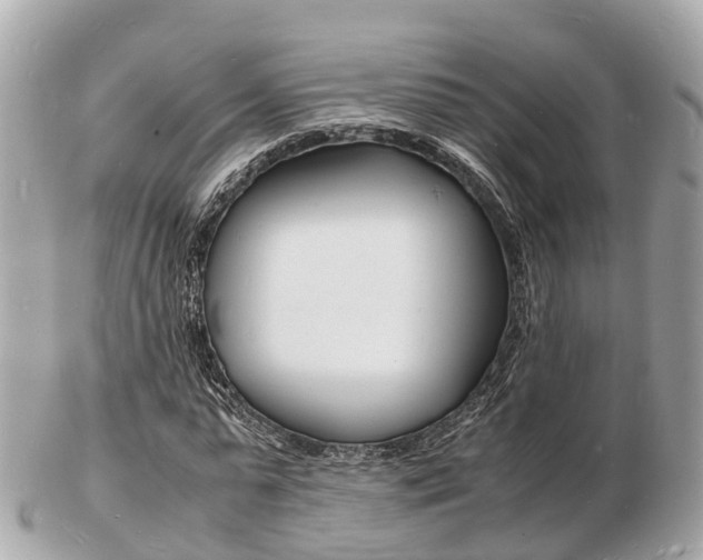 X0000103290775200808291107