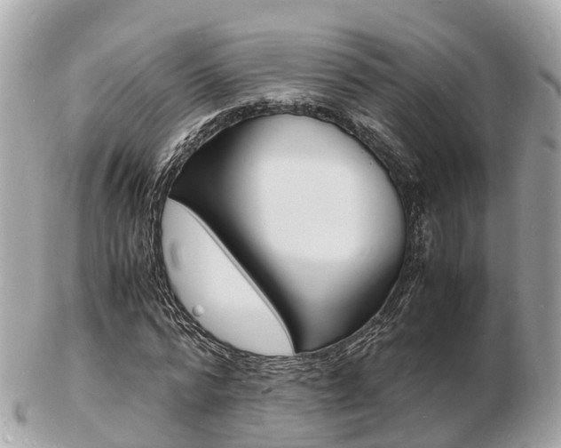 X0000103290776200808291107