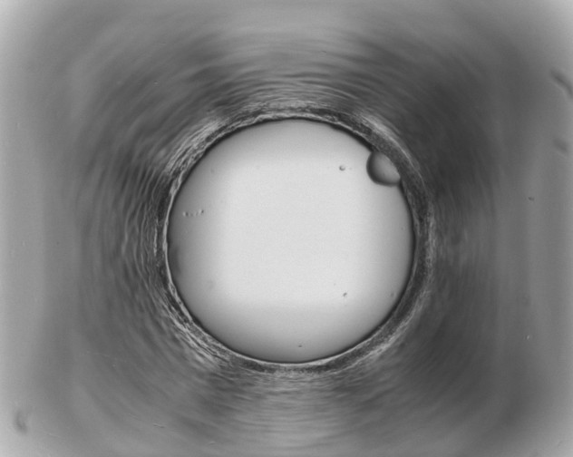 X0000103290777200808291107