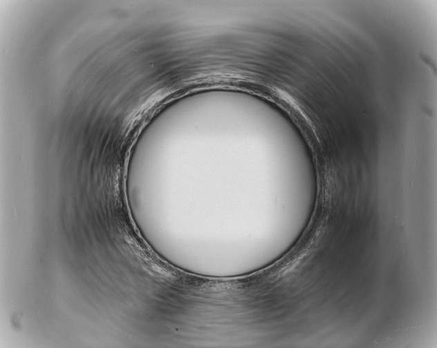 X0000103290778200808291107