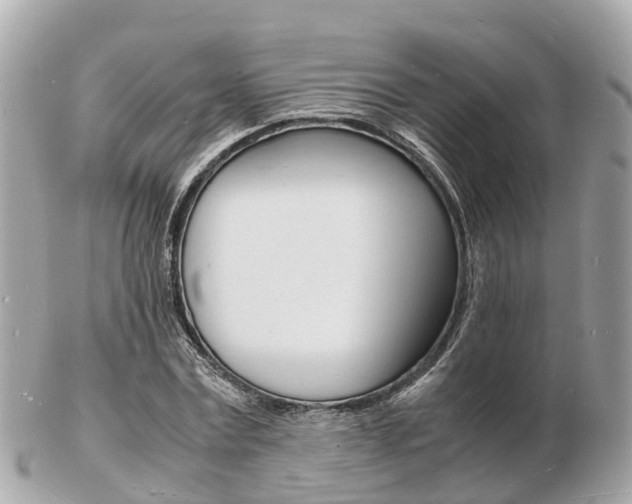 X0000103290779200808291107