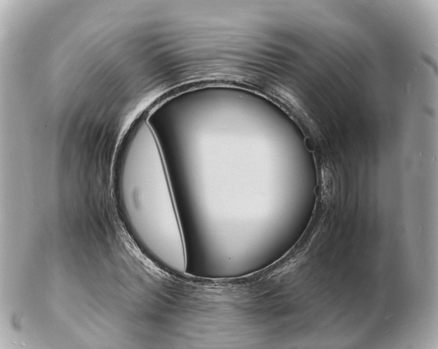 X0000103290780200808291107