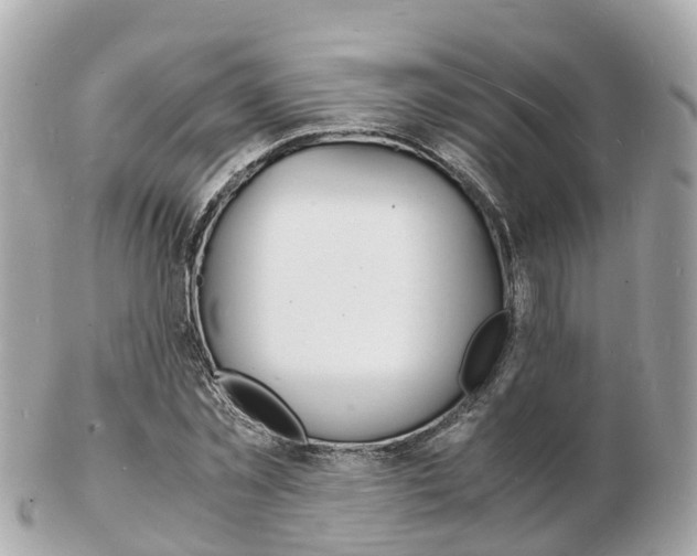 X0000103290781200808291107