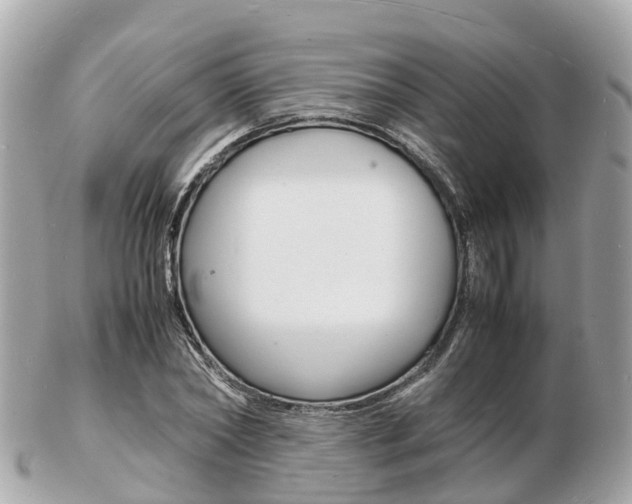 X0000103290782200808291107