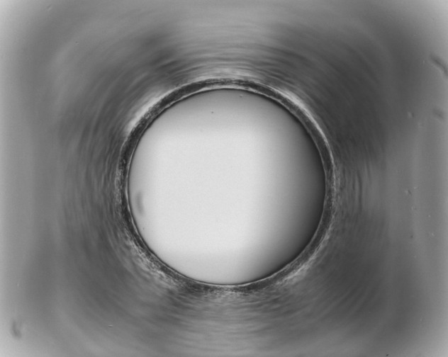 X0000103290783200808291107