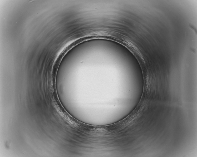 X0000103290784200808291107