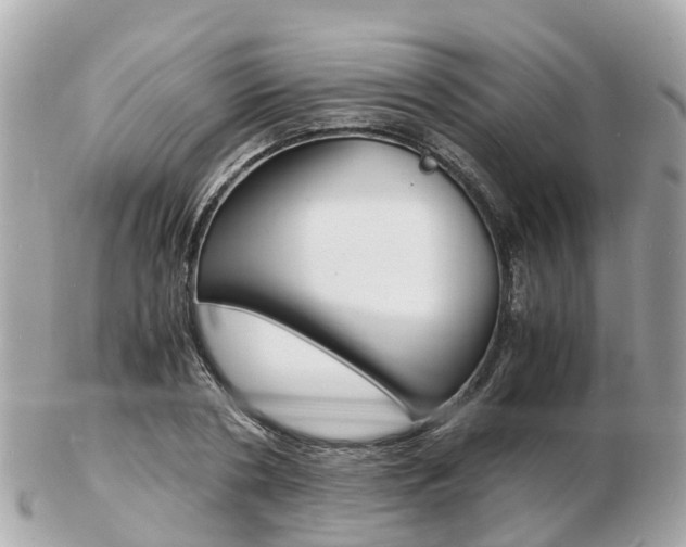 X0000103290786200808291107
