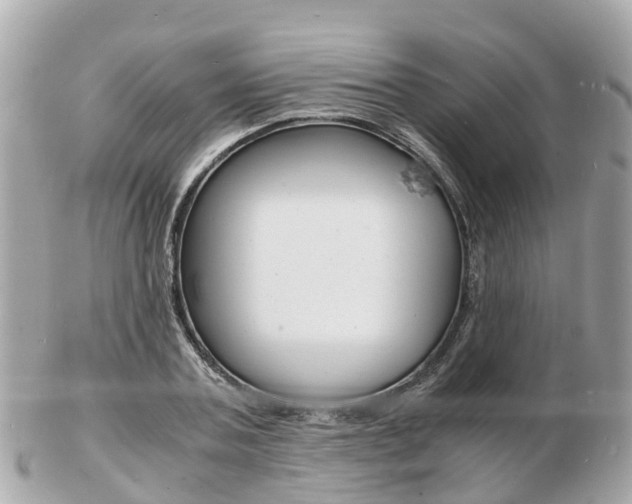 X0000103290787200808291107