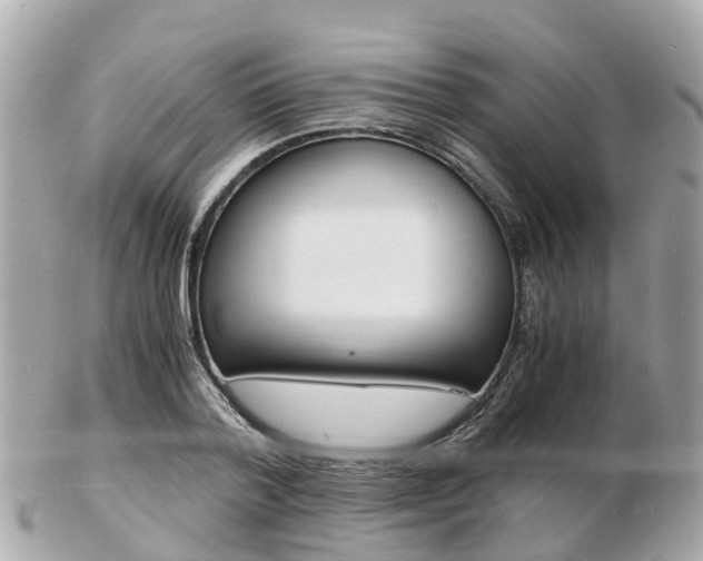 X0000103290788200808291107