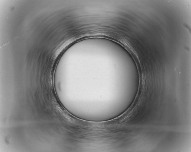 X0000103290789200808291107