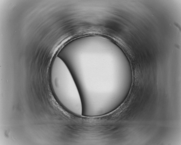 X0000103290790200808291107