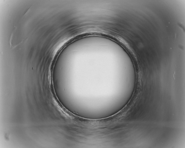 X0000103290791200808291107