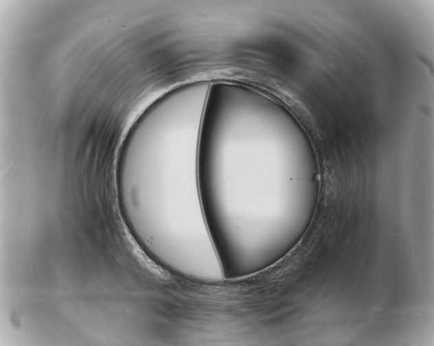 X0000103290792200808291107