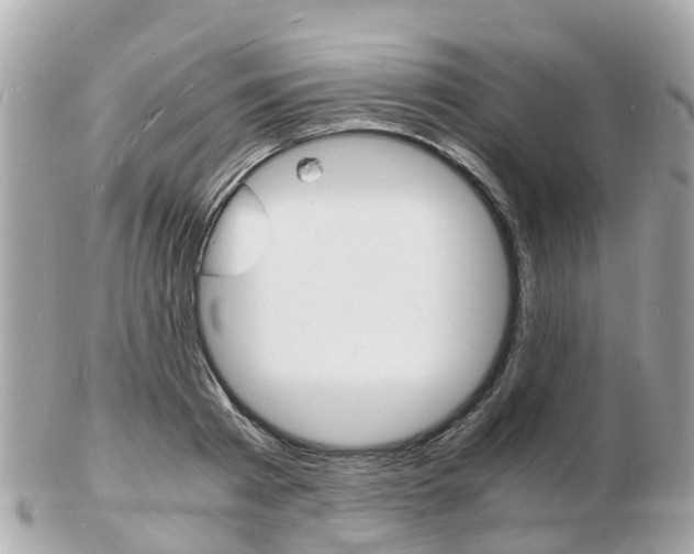 X0000103290793200808291107