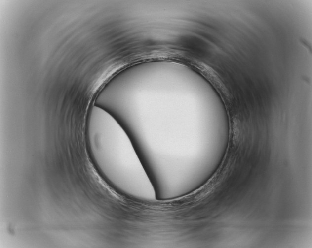 X0000103290794200808291107