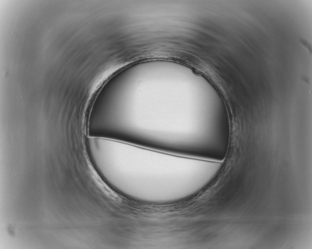 X0000103290795200808291107