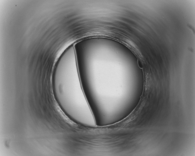 X0000103290796200808291107