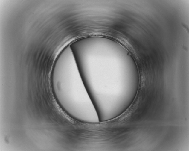 X0000103290798200808291107