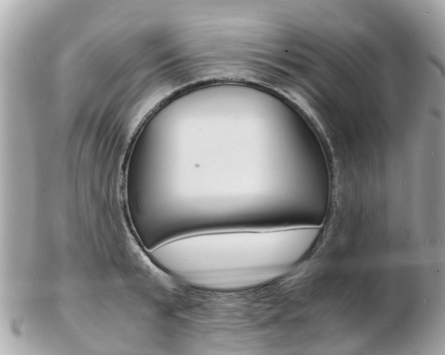 X0000103290799200808291107