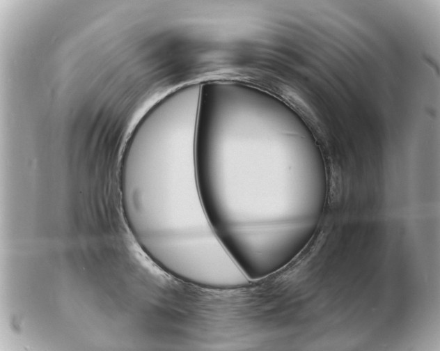 X0000103290800200808291107