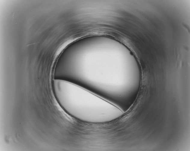 X0000103290803200808291107