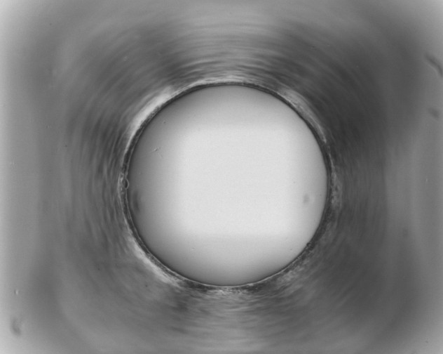 X0000103290805200808291107