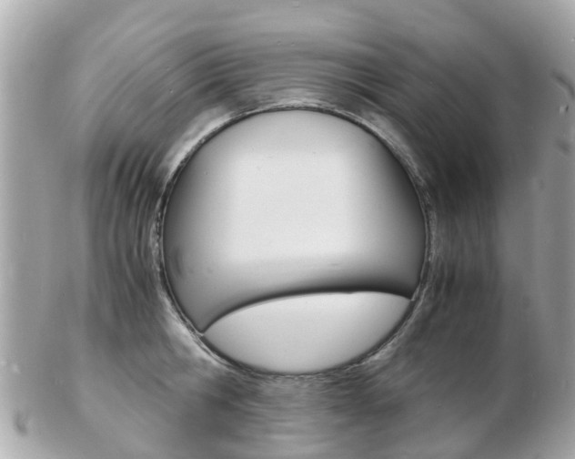 X0000103290806200808291107