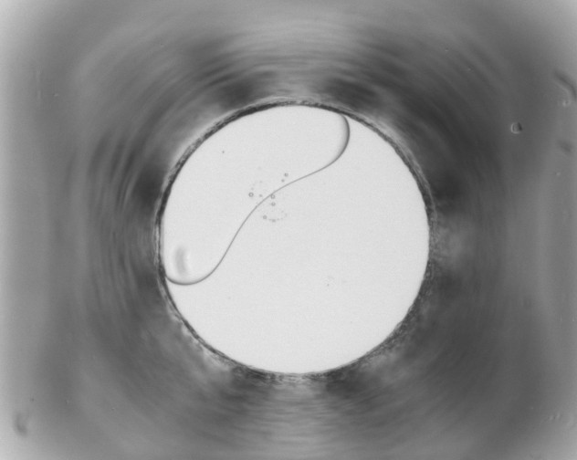 X0000103290807200808291107