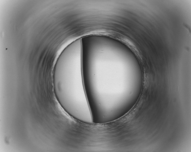 X0000103290808200808291107