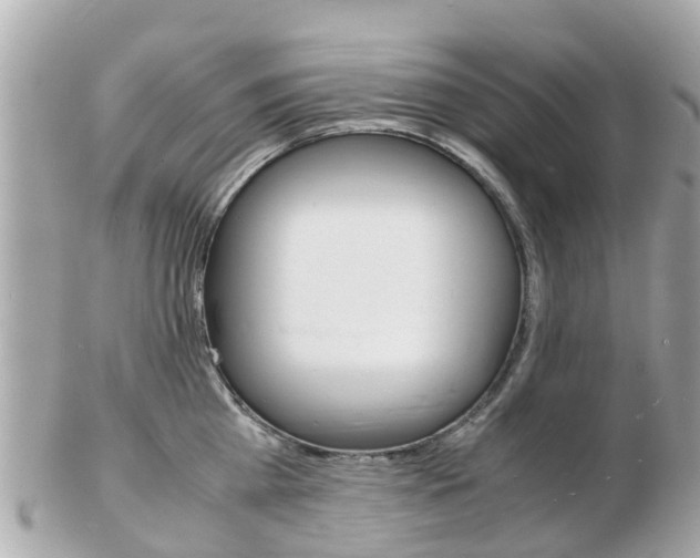 X0000103290809200808291107