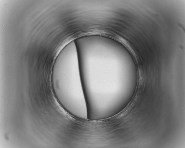 X0000103290810200808291107