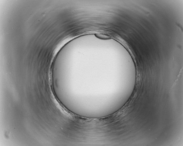 X0000103290811200808291107