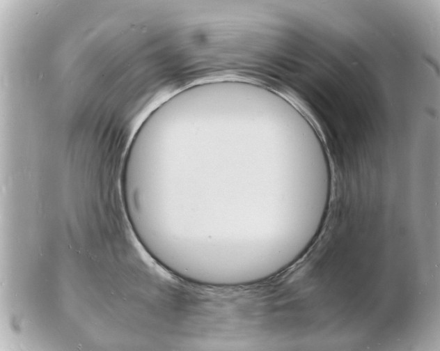 X0000103290813200808291106