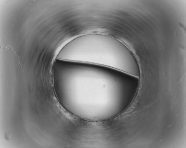 X0000103290816200808291106