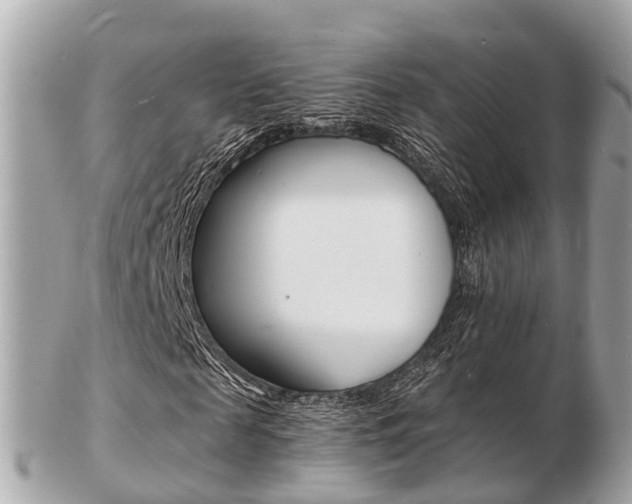 X0000103290817200808291106