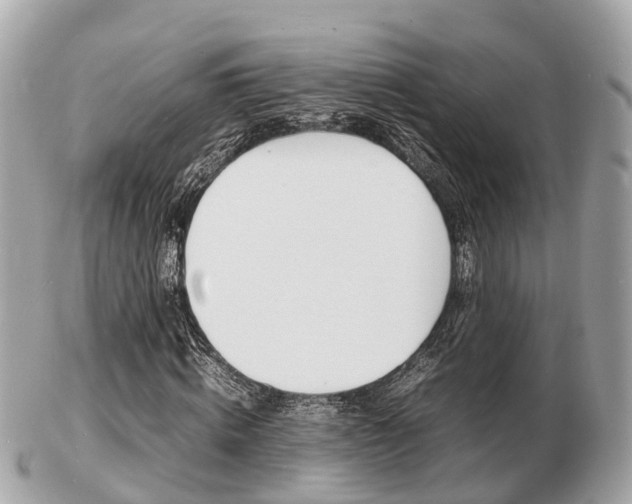 X0000103290820200808291106